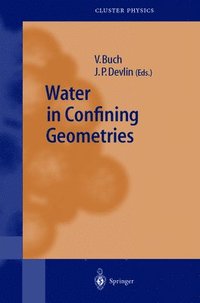 bokomslag Water in Confining Geometries