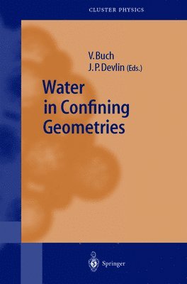 bokomslag Water in Confining Geometries