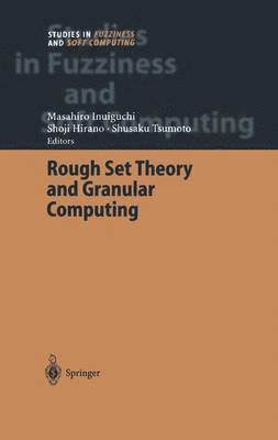 bokomslag Rough Set Theory and Granular Computing