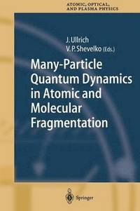 bokomslag Many-Particle Quantum Dynamics in Atomic and Molecular Fragmentation