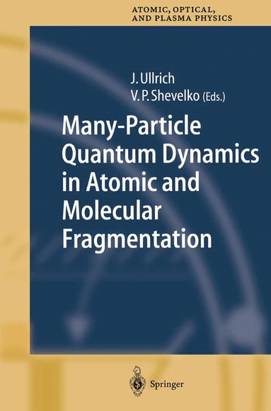 bokomslag Many-Particle Quantum Dynamics in Atomic and Molecular Fragmentation