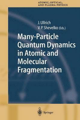 Many-Particle Quantum Dynamics in Atomic and Molecular Fragmentation 1