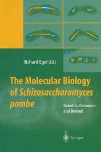 bokomslag The Molecular Biology of Schizosaccharomyces pombe