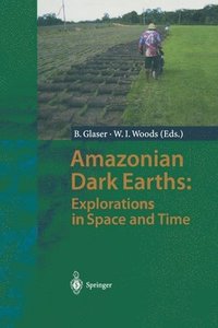 bokomslag Amazonian Dark Earths: Explorations in Space and Time