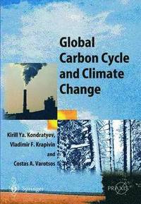 bokomslag Global Carbon Cycle and Climate Change