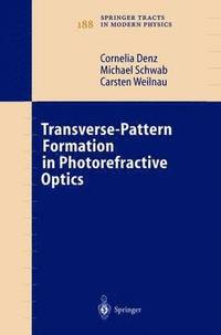 bokomslag Transverse-Pattern Formation in Photorefractive Optics