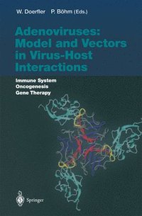 bokomslag Adenoviruses: Model and Vectors in Virus-Host Interactions