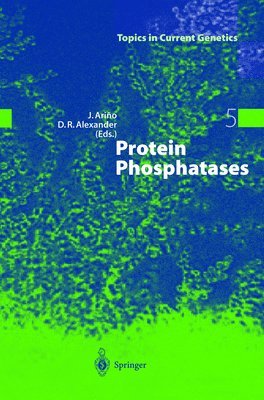 bokomslag Protein Phosphatases