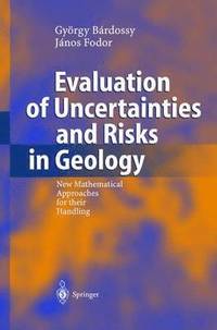 bokomslag Evaluation of Uncertainties and Risks in Geology