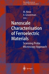 bokomslag Nanoscale Characterisation of Ferroelectric Materials