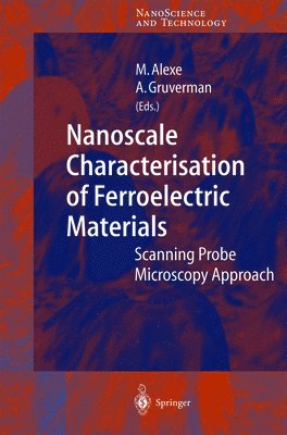 Marin Alexe, Alexei Gruverman - Nanoscale Characterisation of Ferroelectric Materials, Häftad