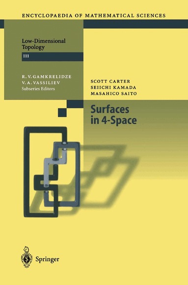 Scott Carter, Seiichi Kamada, Masahico Saito - Surfaces in 4-Space, Häftad