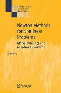 bokomslag Newton Methods for Nonlinear Problems