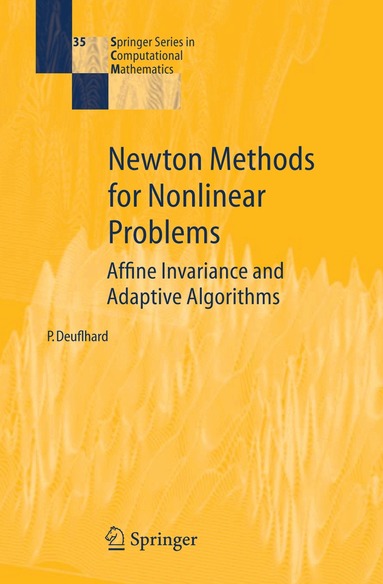 Peter Deuflhard - Newton Methods for Nonlinear Problems, Häftad