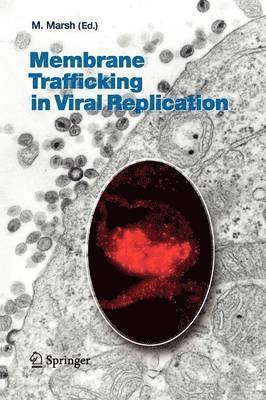 bokomslag Membrane Trafficking in Viral Replication