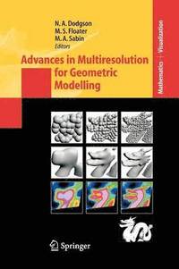 bokomslag Advances in Multiresolution for Geometric Modelling