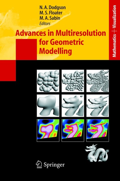 Neil Dodgson, Michael S. Floater, Malcolm Sabin - Advances in Multiresolution for Geometric Modelling, Häftad
