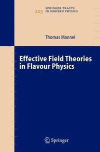 bokomslag Effective Field Theories in Flavour Physics