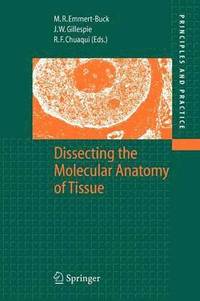 bokomslag Dissecting the Molecular Anatomy of Tissue