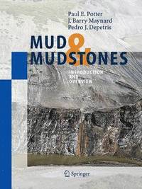 bokomslag Mud and Mudstones