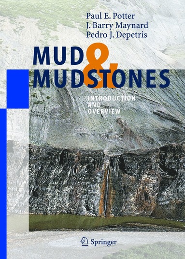 bokomslag Mud and Mudstones