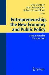 bokomslag Entrepreneurship, the New Economy and Public Policy