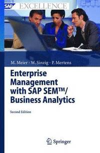bokomslag Enterprise Management with SAP SEM/ Business Analytics