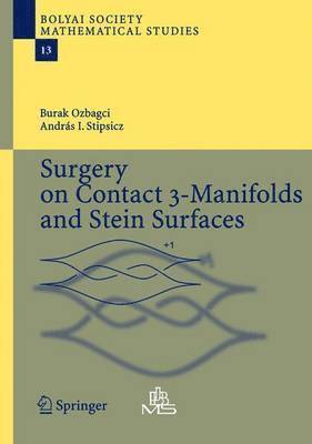 bokomslag Surgery on Contact 3-Manifolds and Stein Surfaces