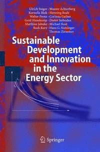 bokomslag Sustainable Development and Innovation in the Energy Sector