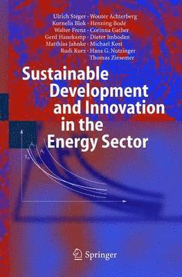 bokomslag Sustainable Development and Innovation in the Energy Sector