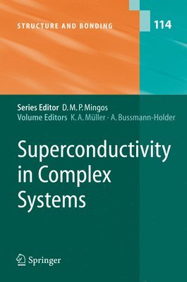 bokomslag Superconductivity in Complex Systems