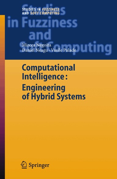 Mircea Gh. Negoita, Daniel Neagu, Vasile Palade - Computational Intelligence, Häftad