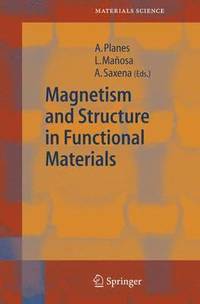bokomslag Magnetism and Structure in Functional Materials