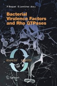 bokomslag Bacterial Virulence Factors and Rho GTPases