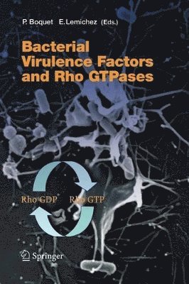 Bacterial Virulence Factors and Rho GTPases