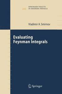 bokomslag Evaluating Feynman Integrals