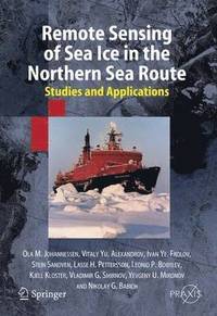 bokomslag Remote Sensing of Sea Ice in the Northern Sea Route