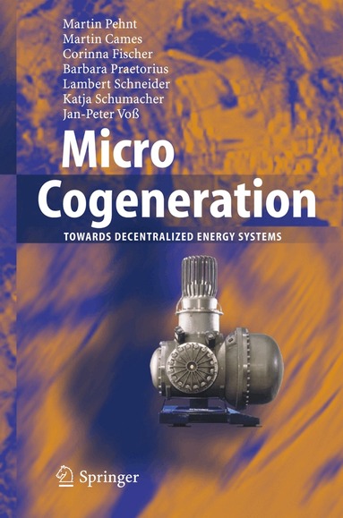 Martin Pehnt, Martin Cames, Corinna Fischer, Barbara Praetorius, Lambert Schneider, Katja Schumacher, Jan-Peter Voß - Micro Cogeneration, Häftad