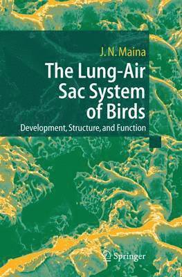 bokomslag Lung-Air Sac System of Birds