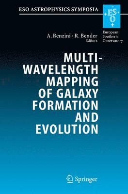 Multiwavelength Mapping of Galaxy Formation and Evolution 1