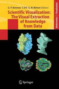 bokomslag Scientific Visualization: The Visual Extraction of Knowledge from Data