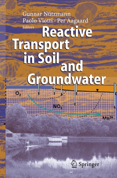 Gunnar Nützmann, Paolo Viotti, Per Aagaard - Reactive Transport in Soil and Groundwater, Häftad