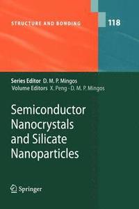 bokomslag Semiconductor Nanocrystals and Silicate Nanoparticles