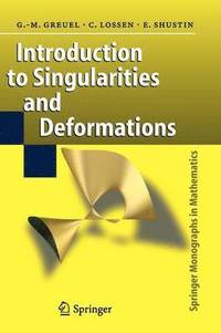 bokomslag Introduction to Singularities and Deformations