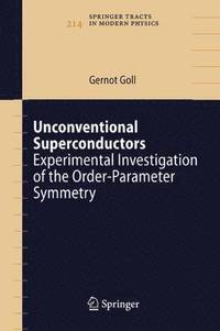 bokomslag Unconventional Superconductors