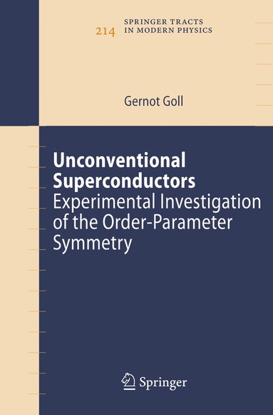 bokomslag Unconventional Superconductors