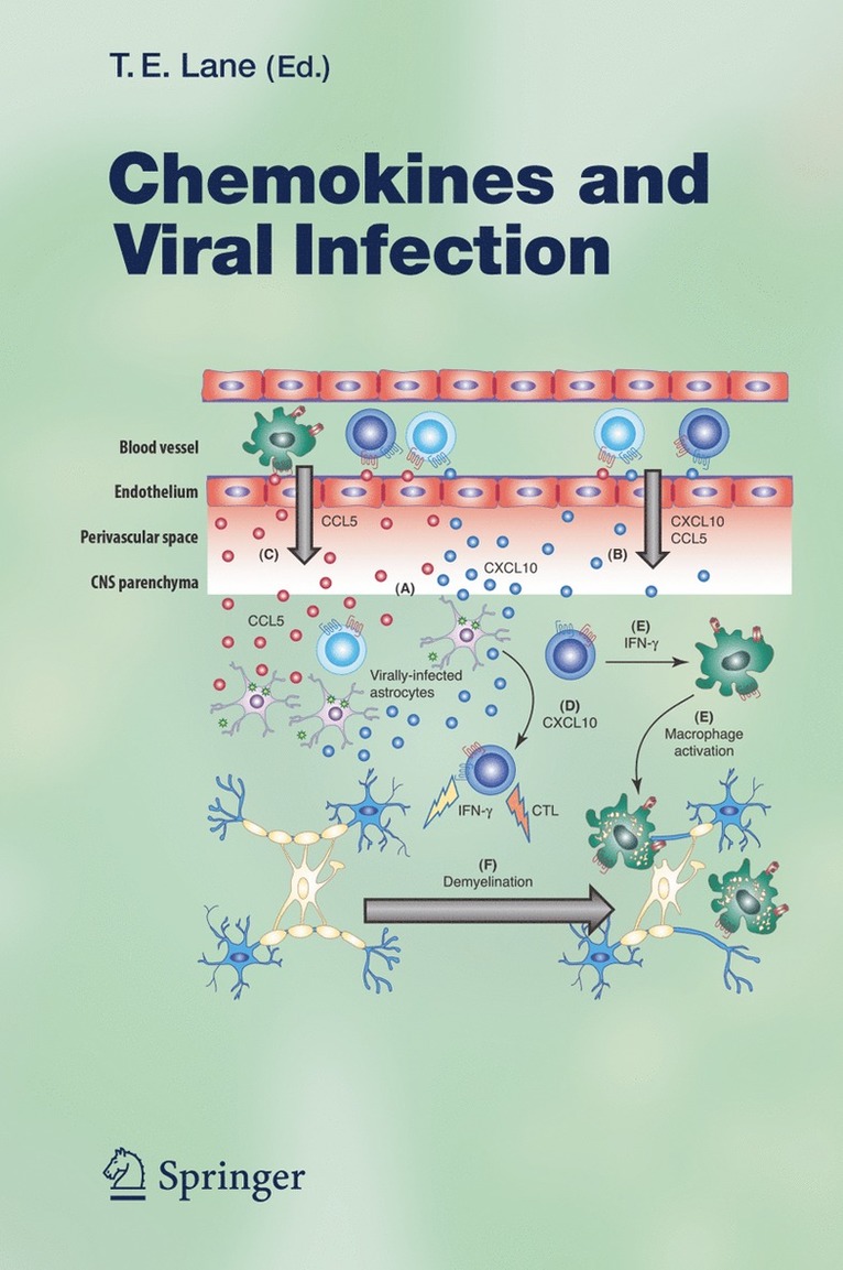 Thomas E. Lane - Chemokines and Viral Infection, Häftad
