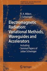 bokomslag Electromagnetic Radiation: Variational Methods, Waveguides and Accelerators