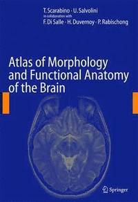 bokomslag Atlas of Morphology and Functional Anatomy of the Brain
