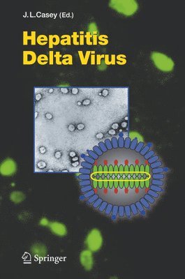 bokomslag Hepatitis Delta Virus